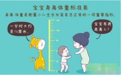 超声波色淫网站AV水蜜桃正确测量方法标准身高体