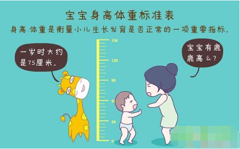 超声波色淫网站AV水蜜桃正确测量方法标准身高体重表